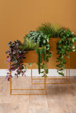 PLANT POT ESSENCE STRAIGHT - OKER GEEL