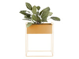 PLANT POT ESSENCE STRAIGHT - OKER GEEL