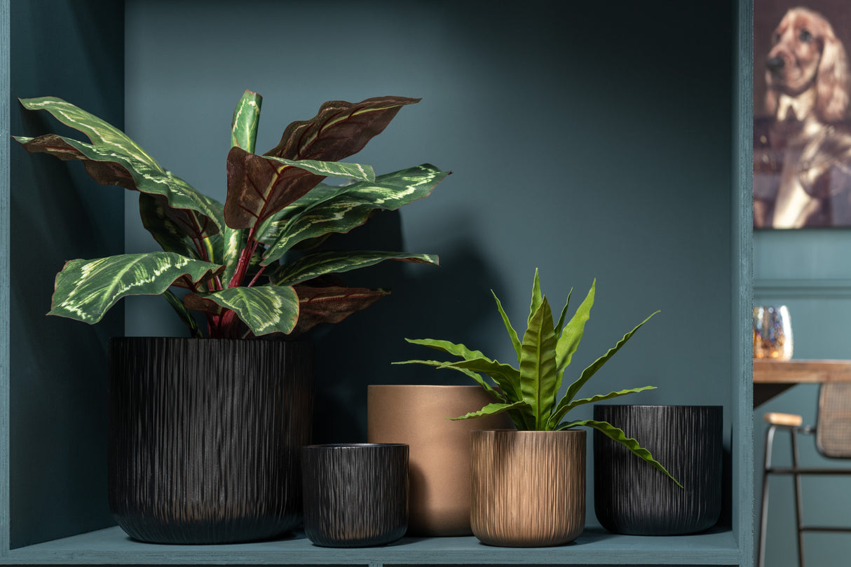 KUNSTSTOFPLANT - CALATHEA PLANT