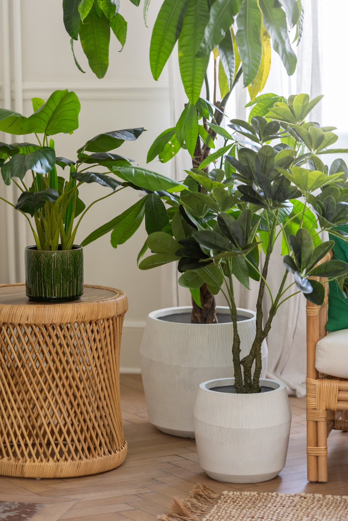 KUNSTSTOFPLANT - POTHOS PLANT