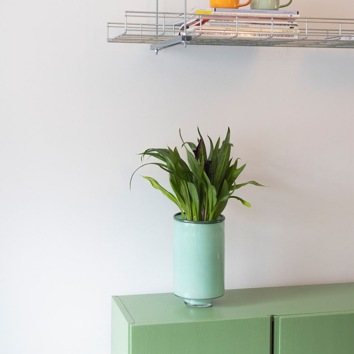 MILO VAAS - PISTACHIO