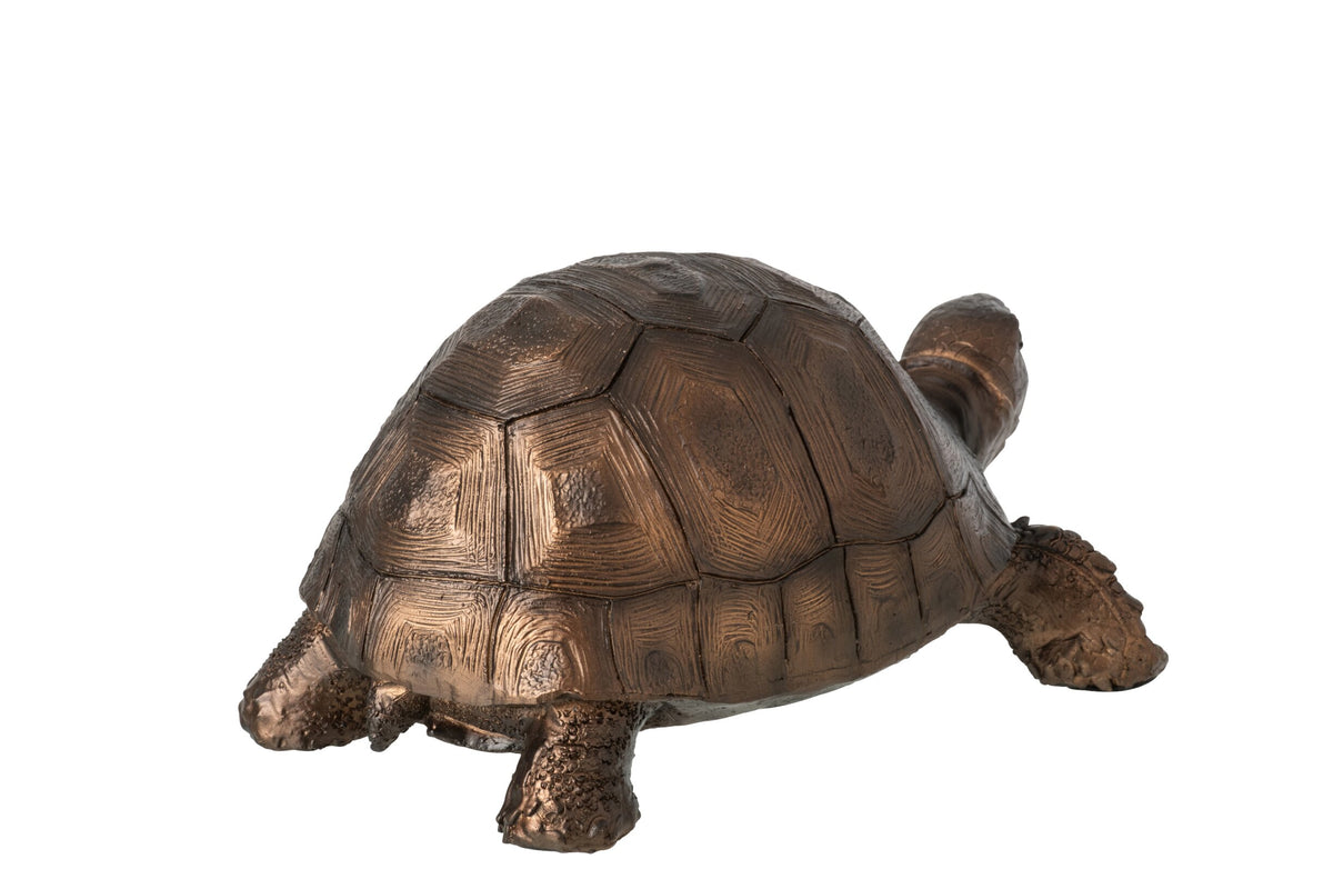 SCHILDPAD - BRONS