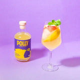 CITRUS APERITIF