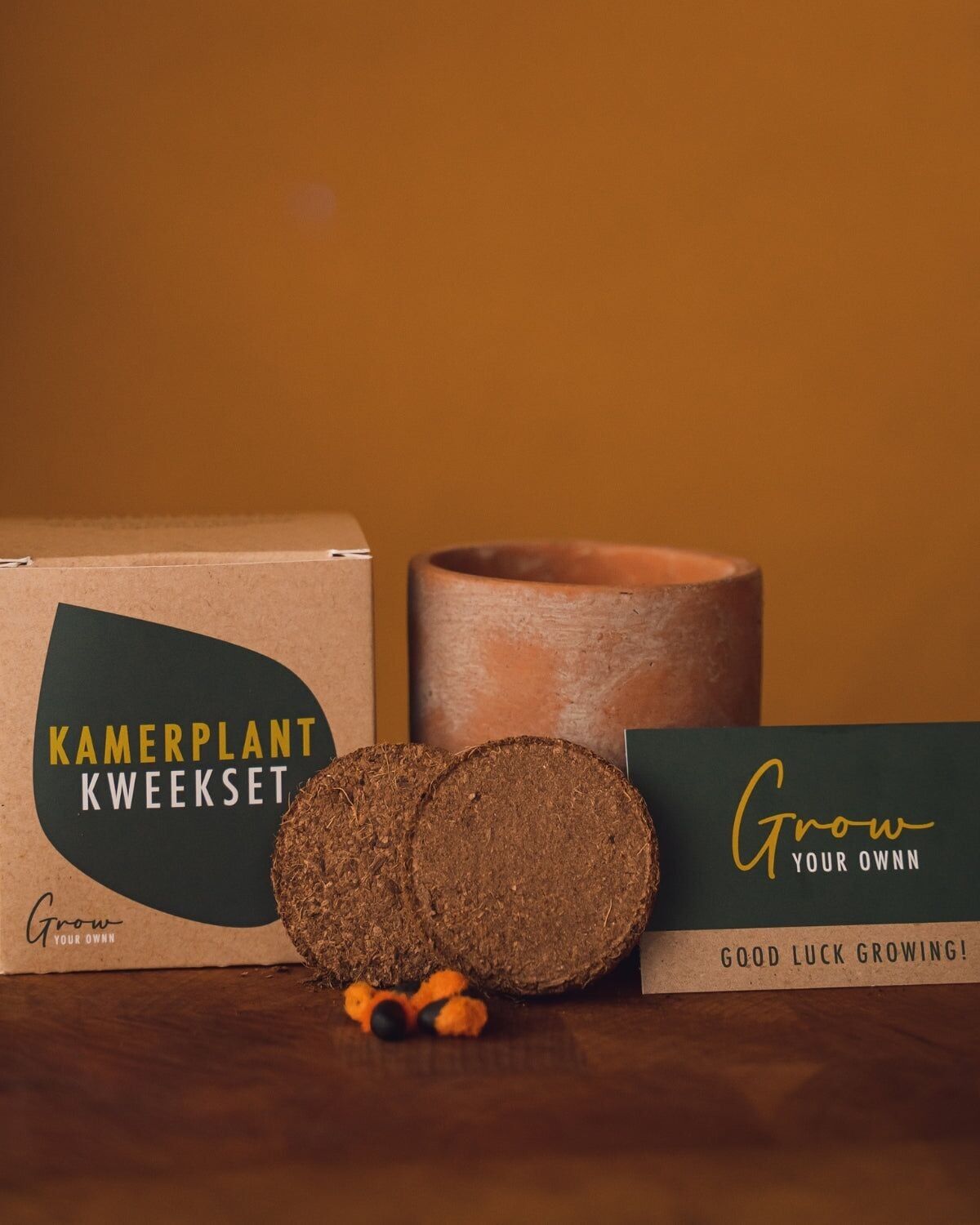 KWEEKSET PHILODENDRON SELLOUM