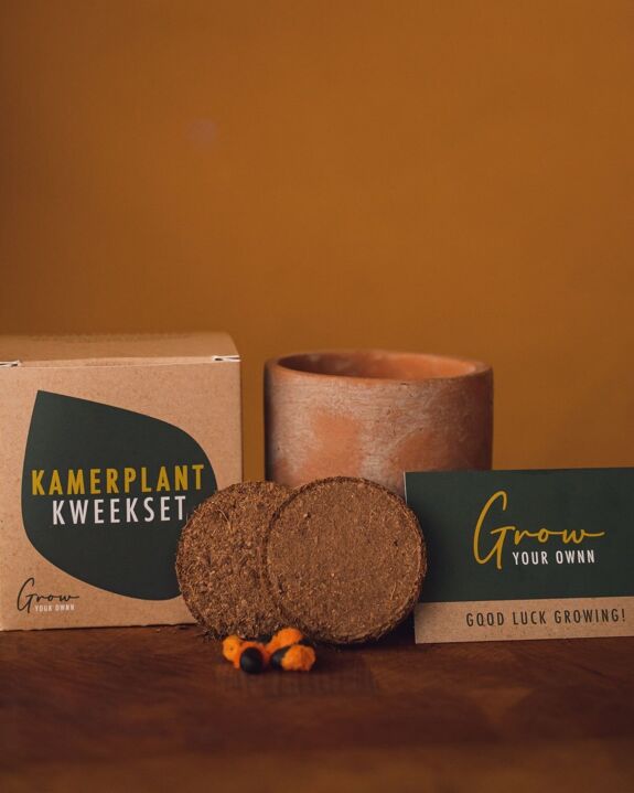 KWEEKSET COFFEA ARABICA