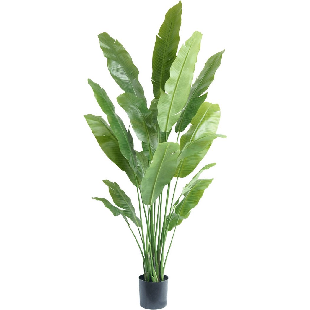 KUNSTPLANT STRELITZIA NICOLAI DELUXE 180 CM