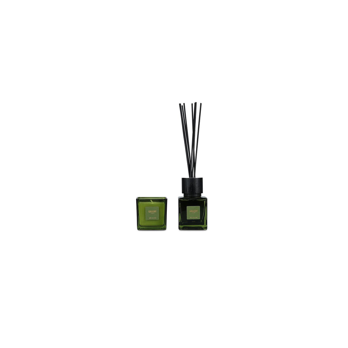 GIFTSET - FOREST GALLERY