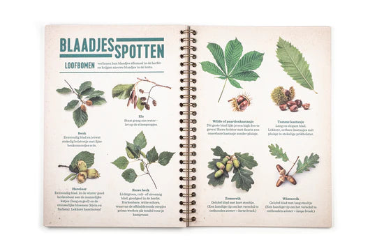 OP AVONTUUR IN DE ARDENNEN