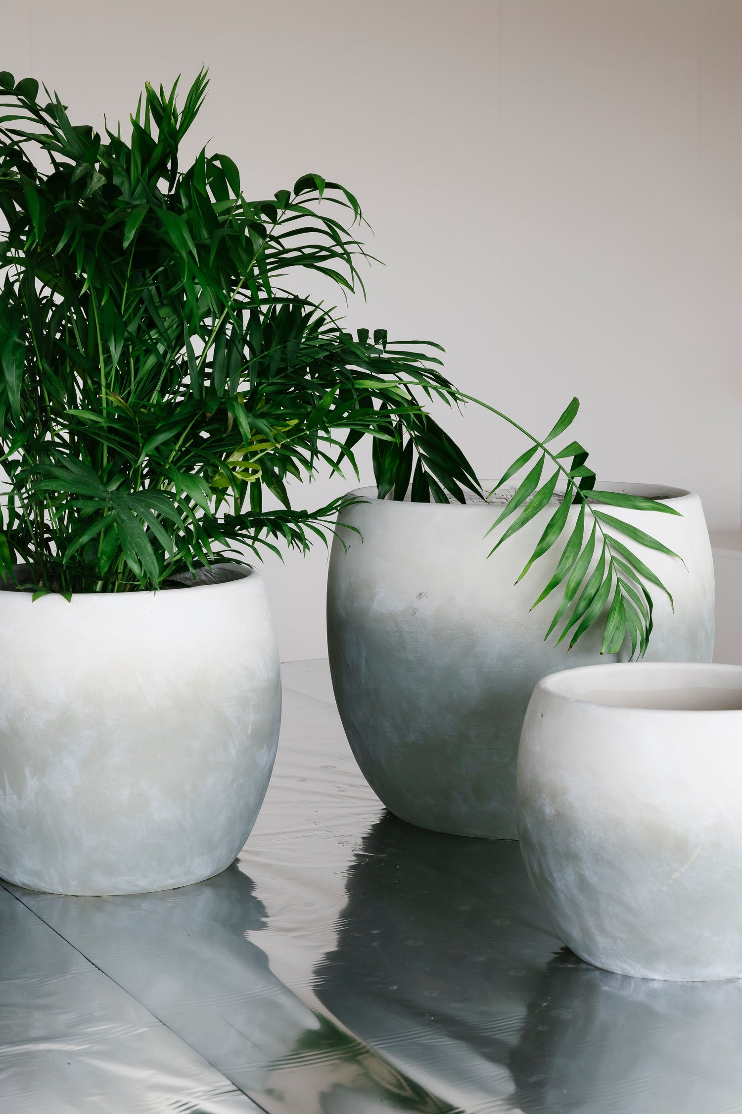 BLOEMPOT ECLIPPSE - CREME