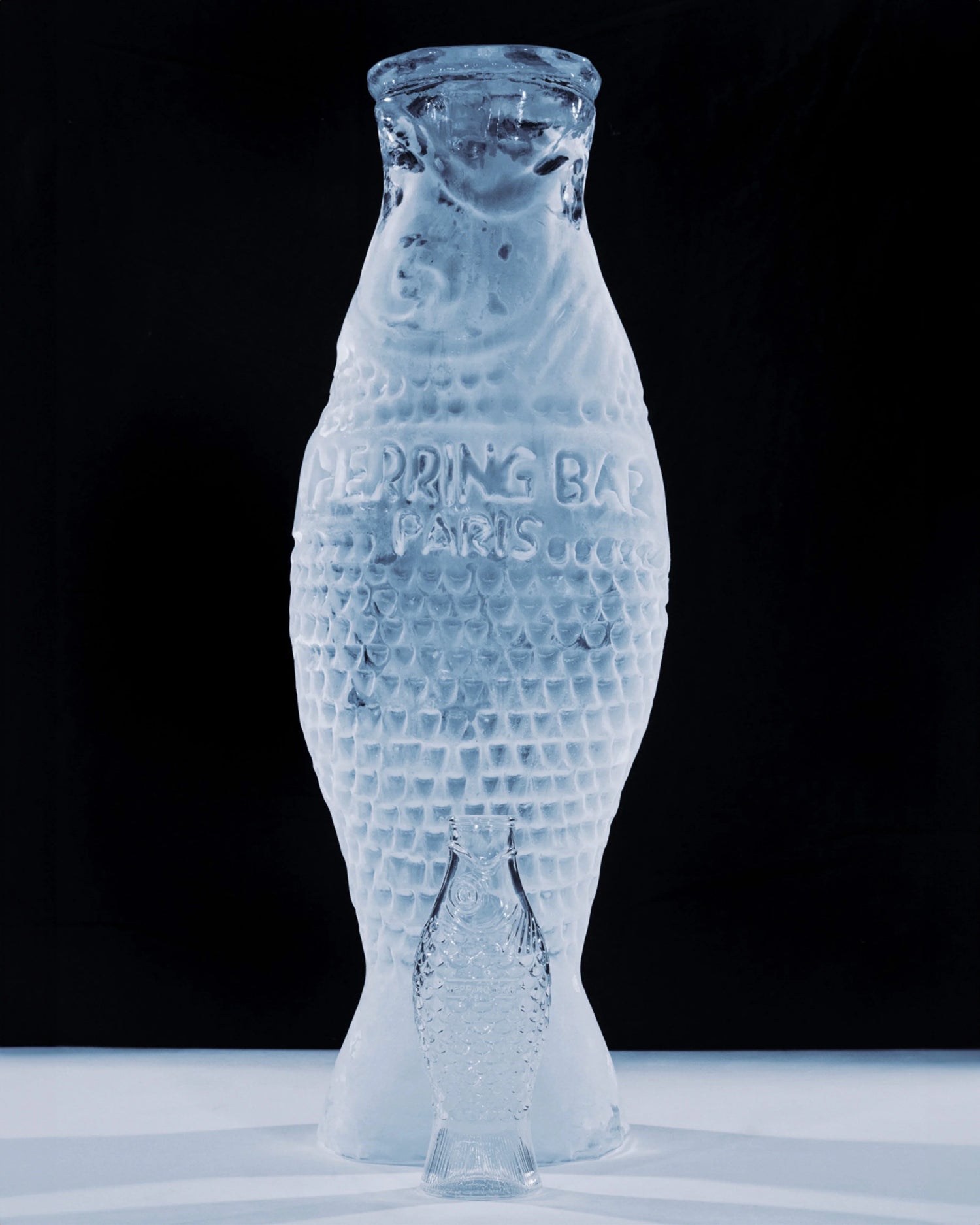 FISH KARAF - TRANSPARANT