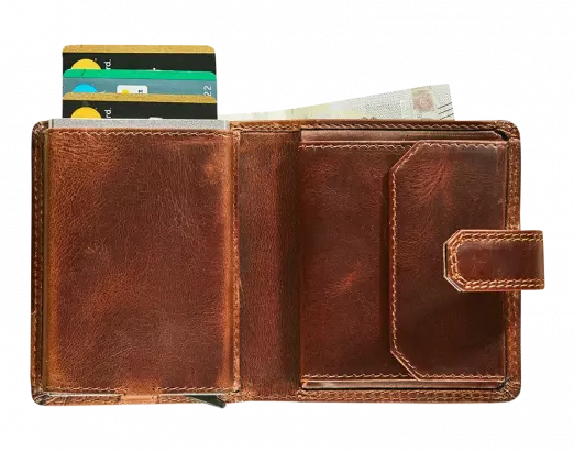 BRUIN LEDEREN CARDPROTECTOR COMPACT