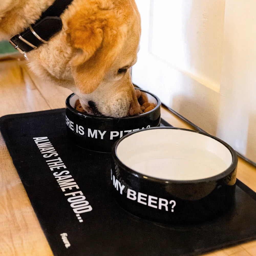 PET BOWL - WHERE IS MY BEER