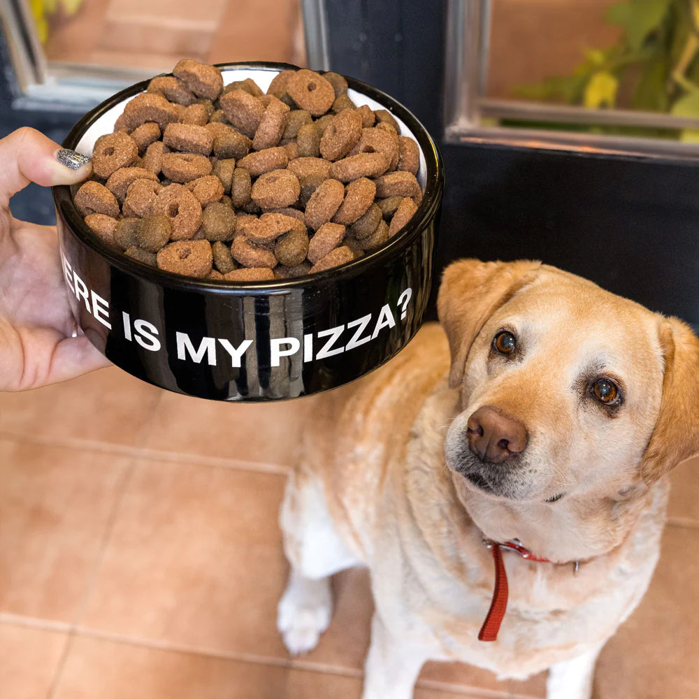 PET BOWL - WHERE IS MY PIZZA