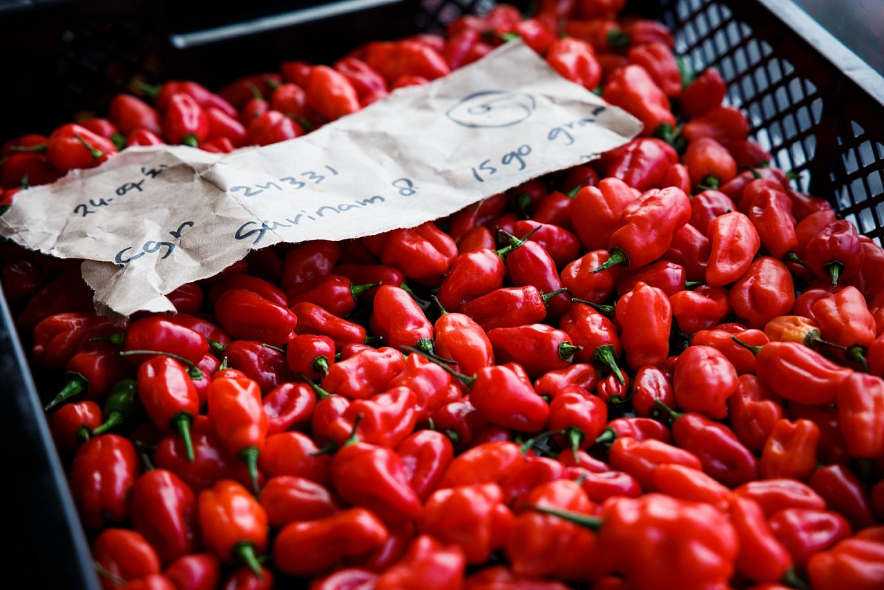 SWEET SPICY SOY SAUCE 100 ML