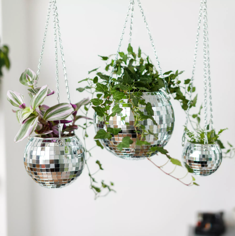 DISCO BAL PLANTENHOUDER - LARGE