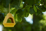 VOGELHUISJE OKERGEEL
