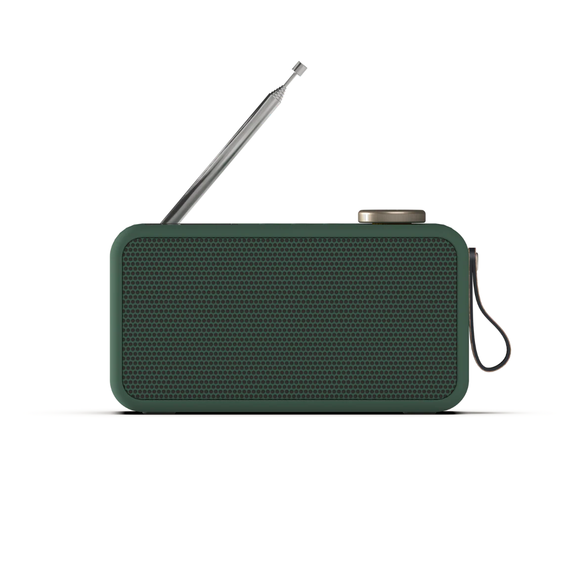 aTune2 DAB+ RADIO - NORDIC GREEN