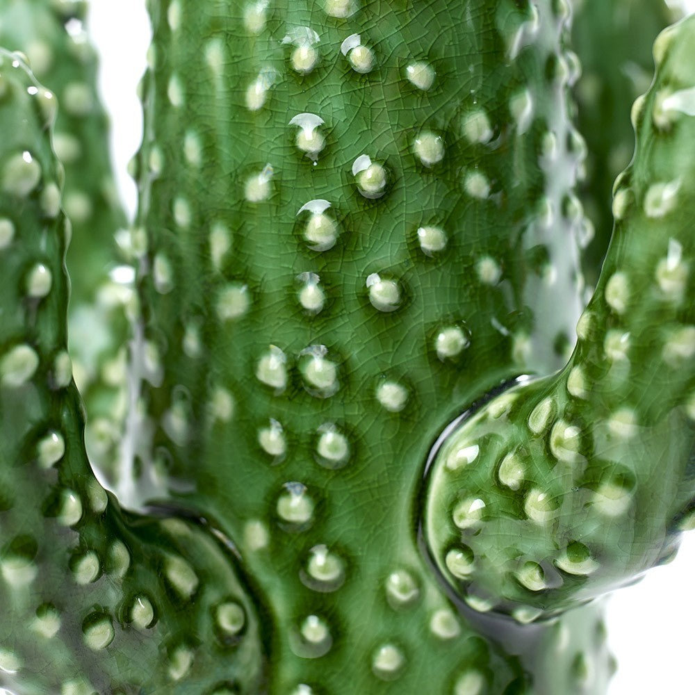 CACTUS VAAS - MEDIUM