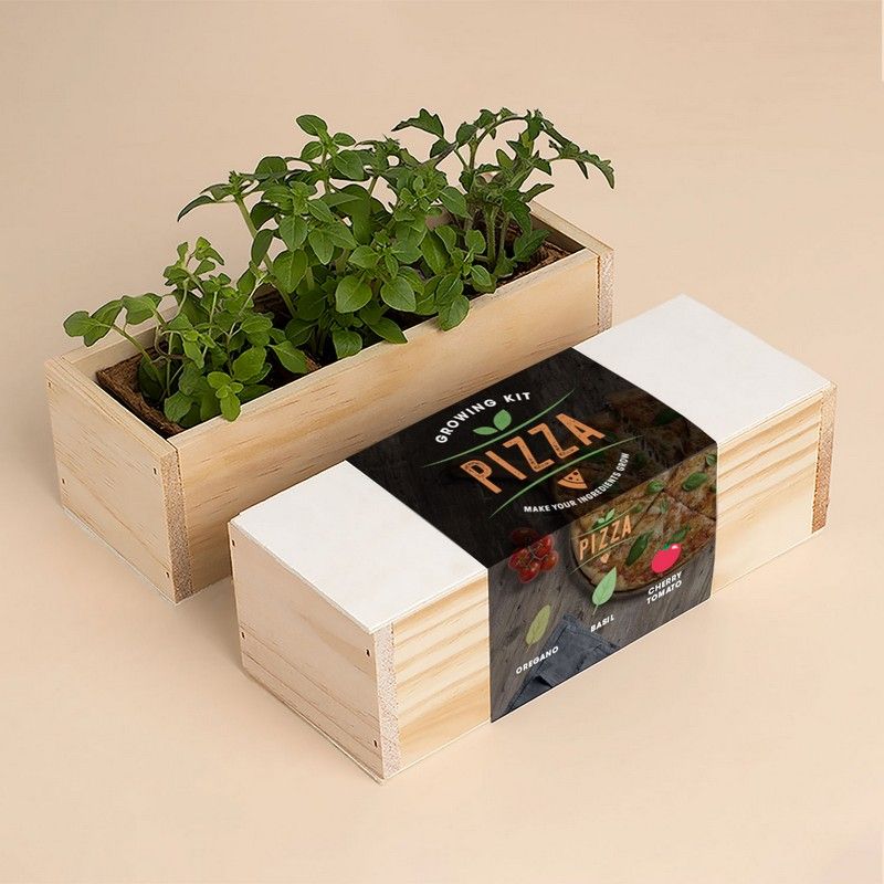 PIZZA GROWING KIT