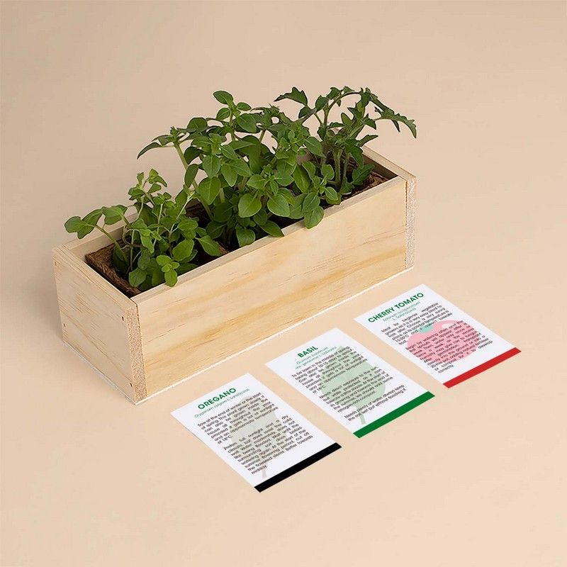 PIZZA GROWING KIT