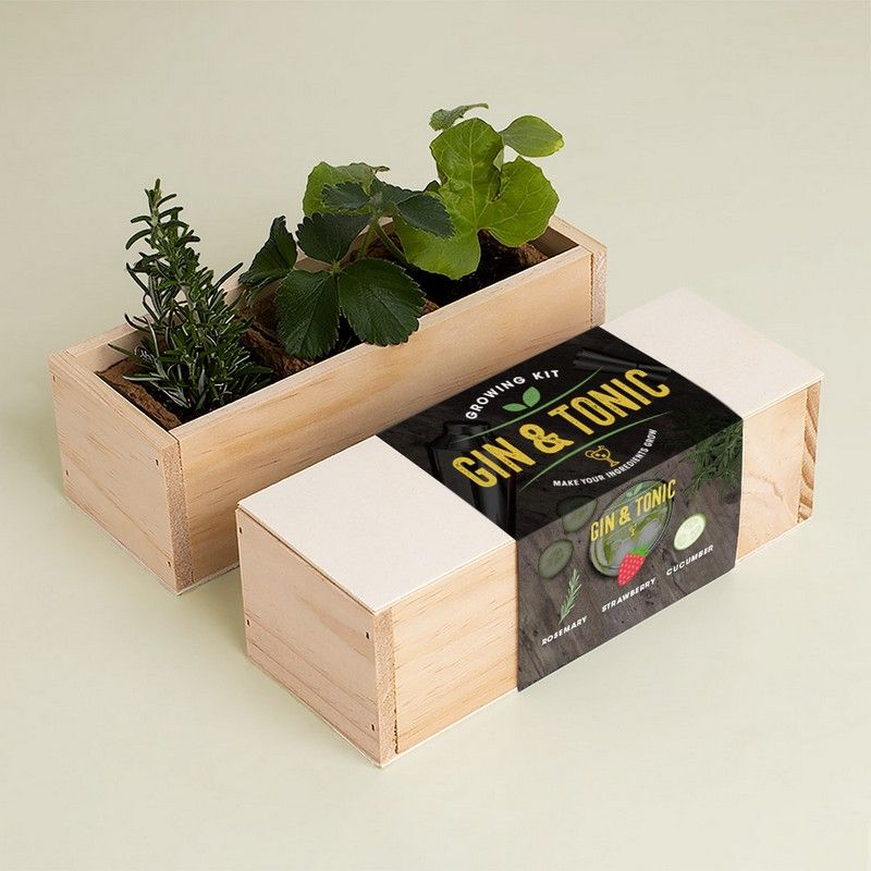 GIN TONIC GROWING KIT