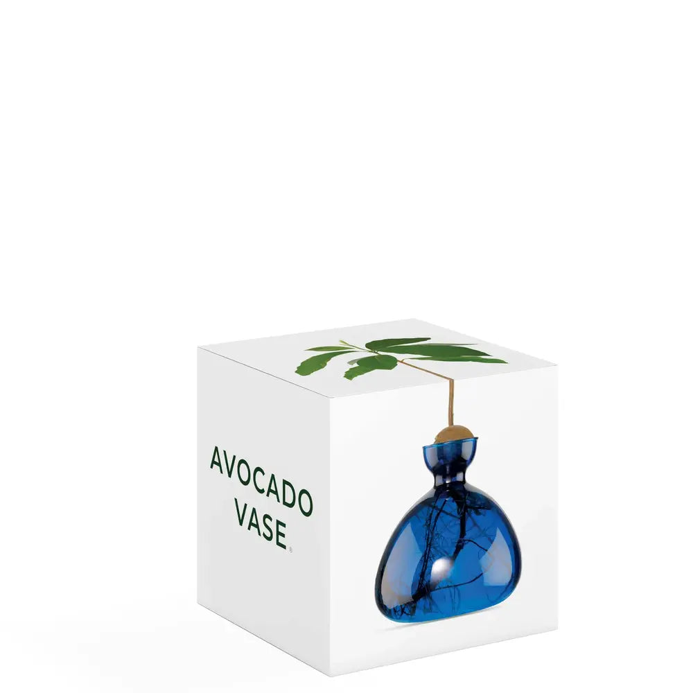 AVOCADO VAAS - BLUE JAY