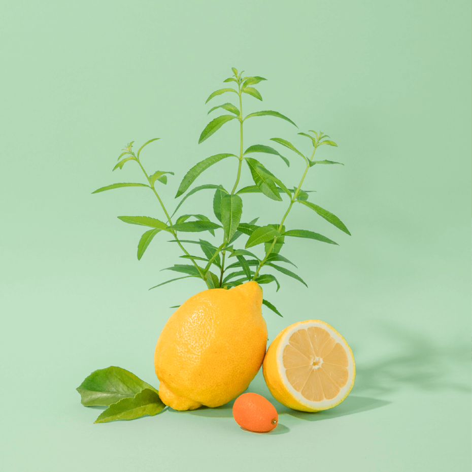 HAND & BODY ZEEP - FRESH VERBENA