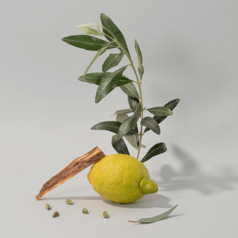 HAND & BODY ZEEP - OLIVE WOOD