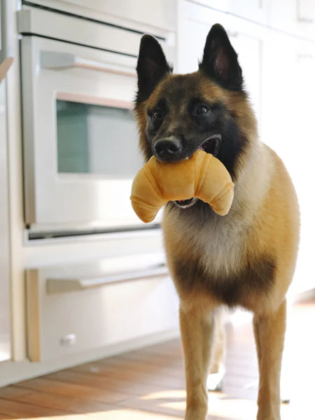 HONDENSPEELTJE - CROISSANT