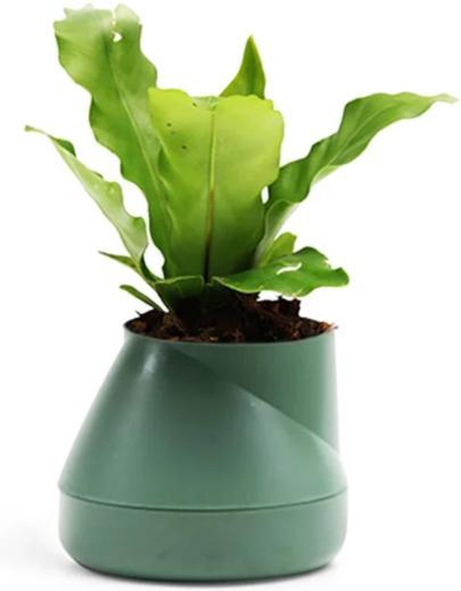 HILL BLOEMPOT SMALL - GROEN