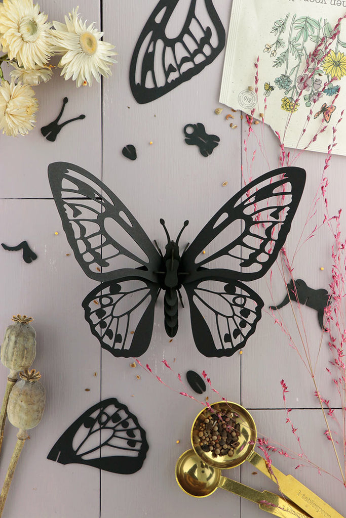 3D BIRDWING VLINDER