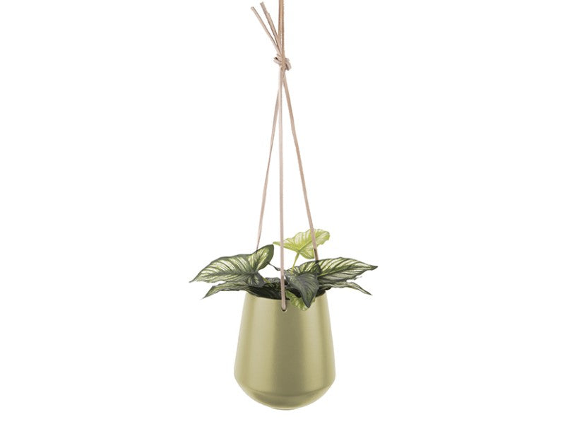HANGPOT - M/OLIJFGROEN