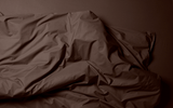 TWEEPERSOONS DEKBEDOVERTREK + 2 KUSSENSLOPEN - PERCALE