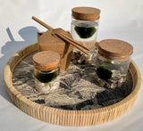 MARIMO 4