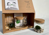 MARIMO 2