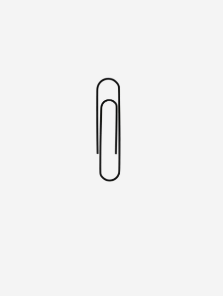 PAPER CLIPS 30 PCS