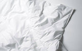 TWEEPERSOONS DEKBEDOVERTREK + 2 KUSSENSLOPEN - PERCALE