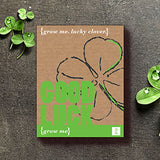 GROW ME - PLANT