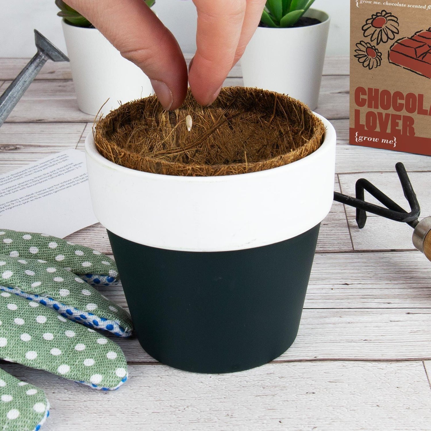 GROW ME - PLANT