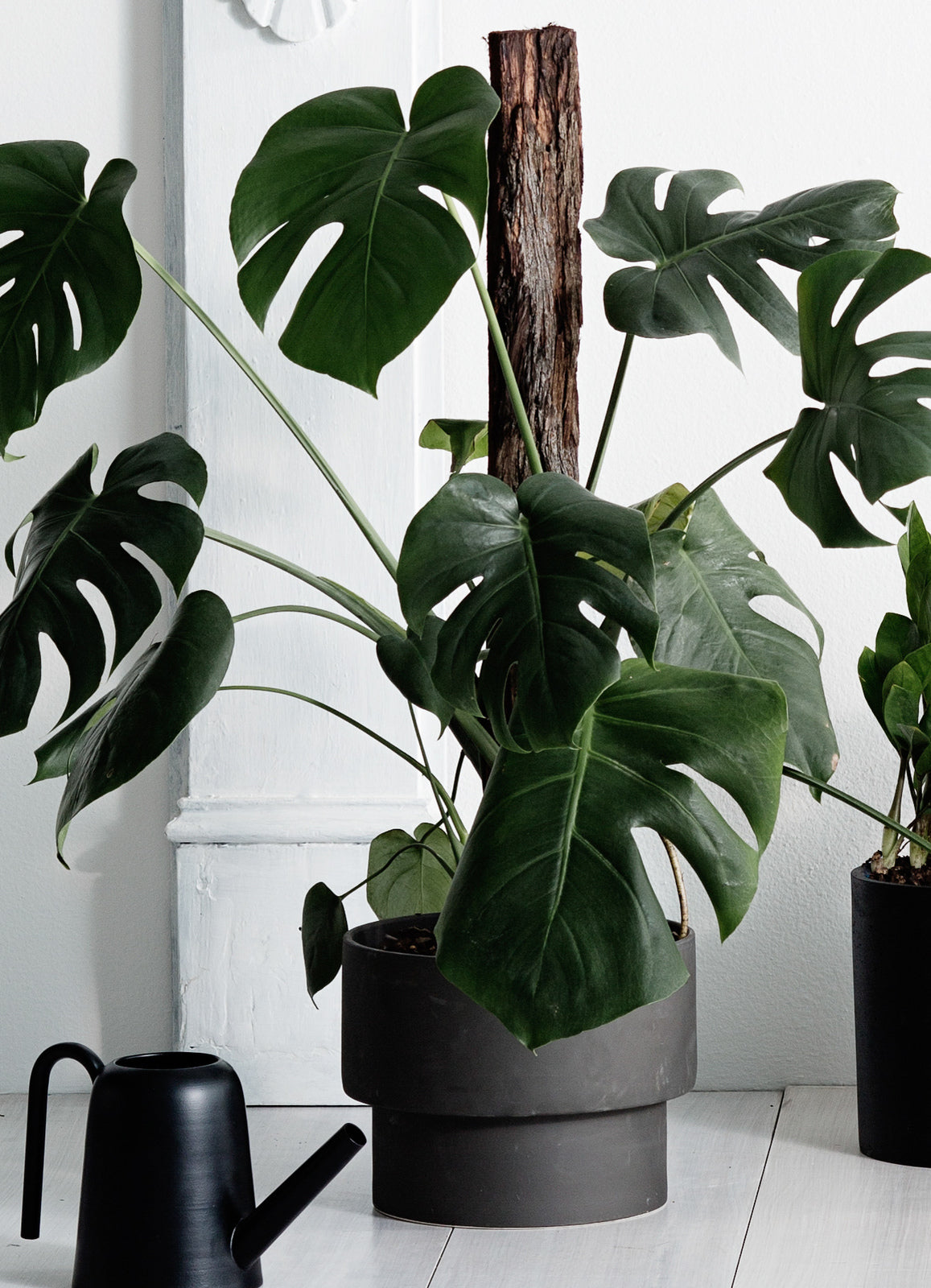 ZAKKIA PODIUM POT
