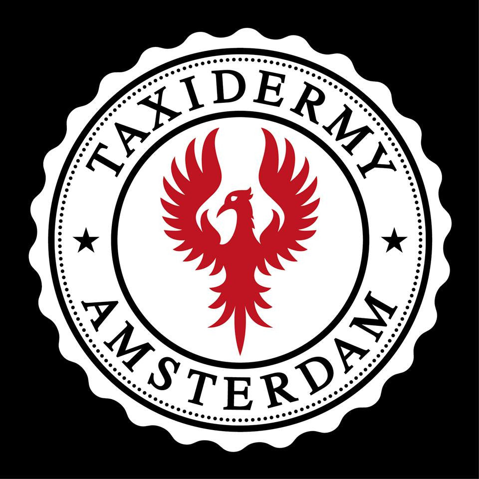 TAXIDERMY AMSTERDAM