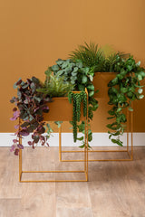 PLANT POT ESSENCE STRAIGHT - OKER GEEL