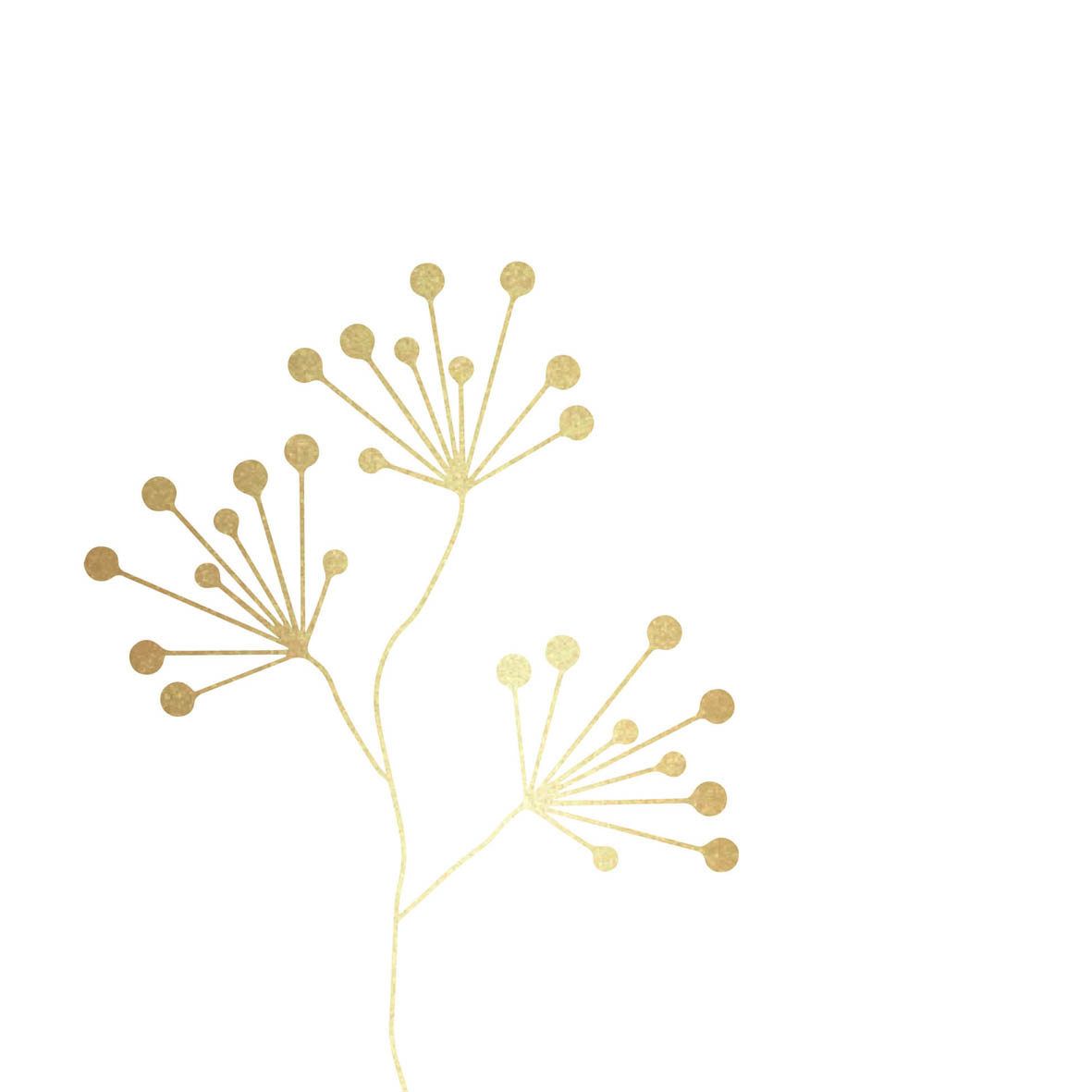 SERVETTEN - PURE GOLD BERRIES