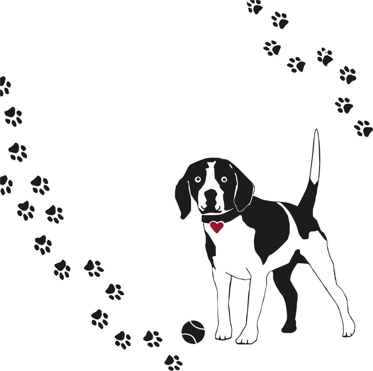 SERVETTEN - HOND