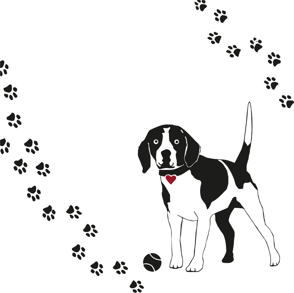 SERVETTEN - HOND