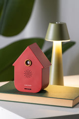 SOUND BOX MODERN CUCKOO - OKERROOD
