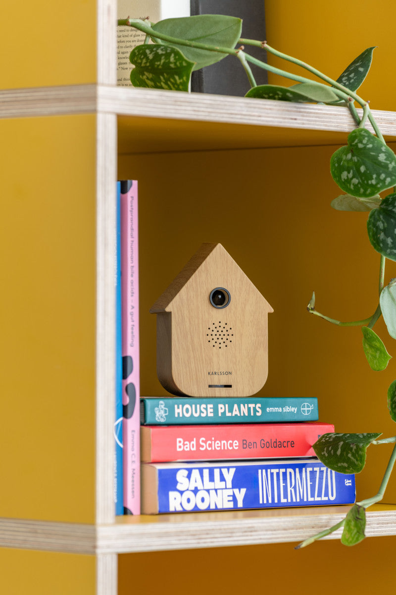 SOUND BOX MODERN CUCKOO - LIGHT WOOD