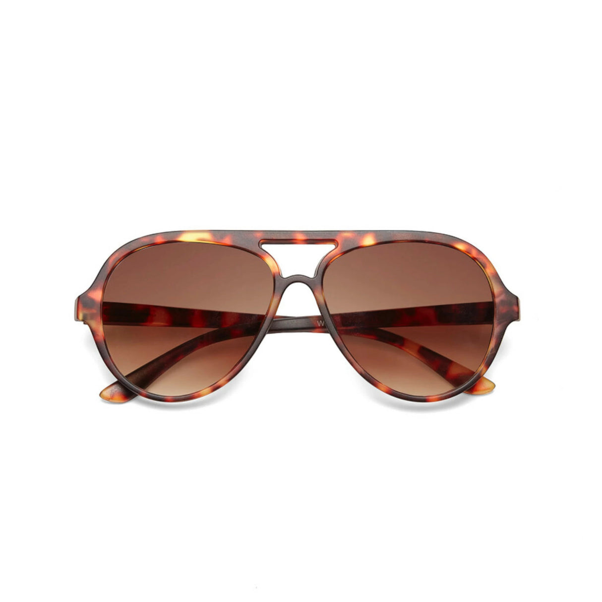 ZONNEBRIL ALESSIO - CLASSIC HAVANA