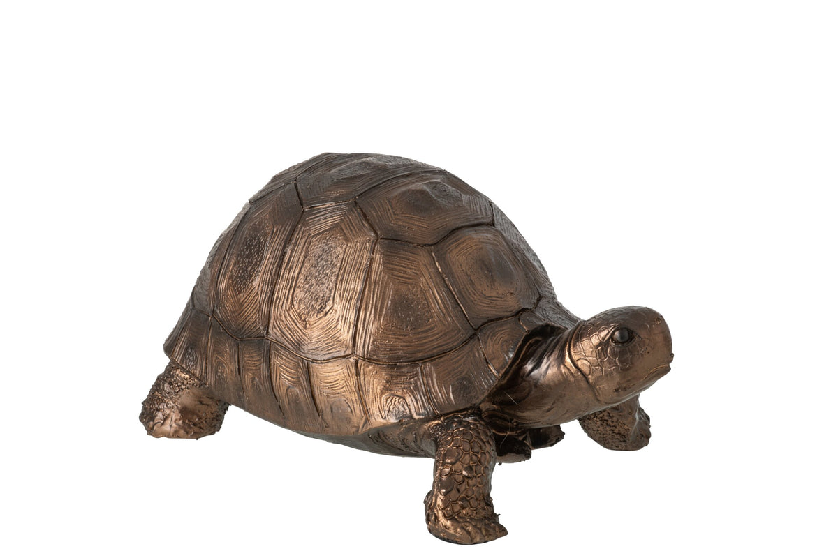 SCHILDPAD - BRONS