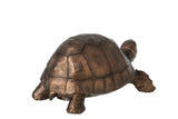 SCHILDPAD - BRONS